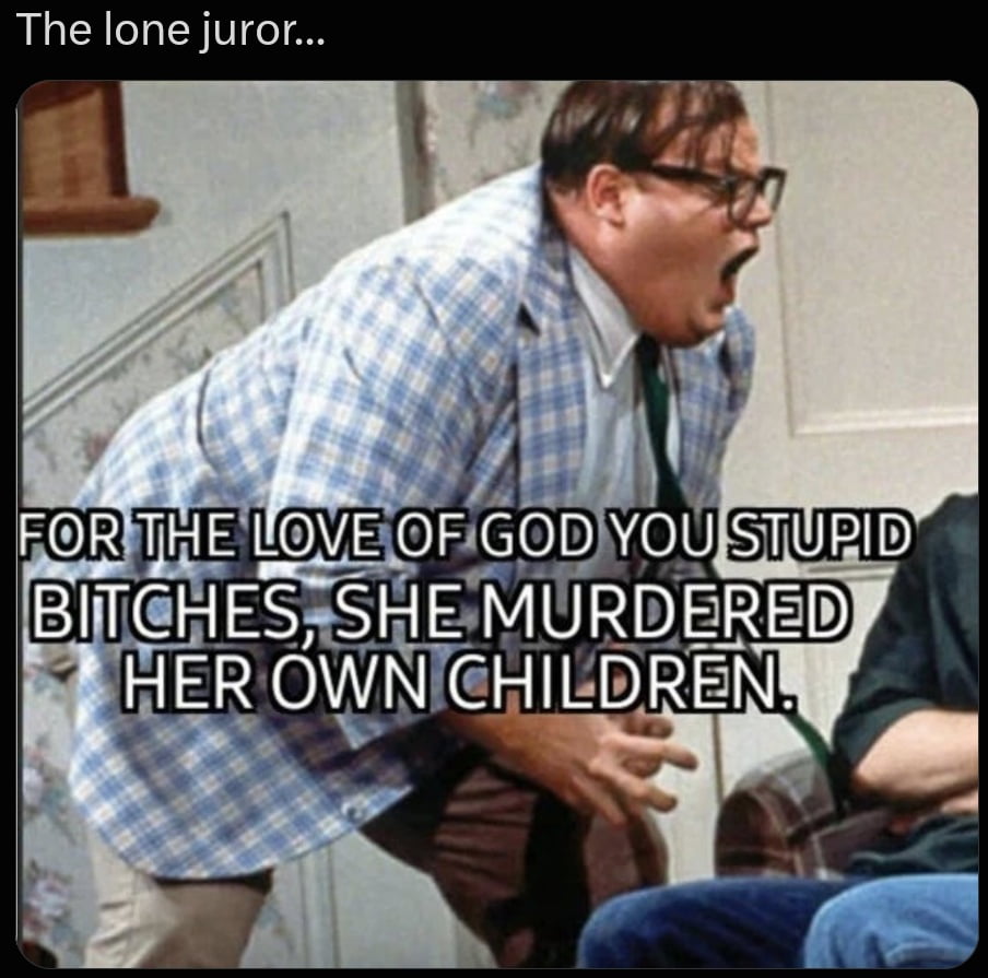 A Meme Depicting a Frustrated Juror's Perspective