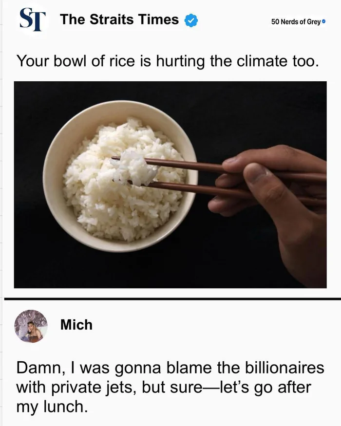 Social Media Users React to Headlines Linking Everyday Foods to Climate Change