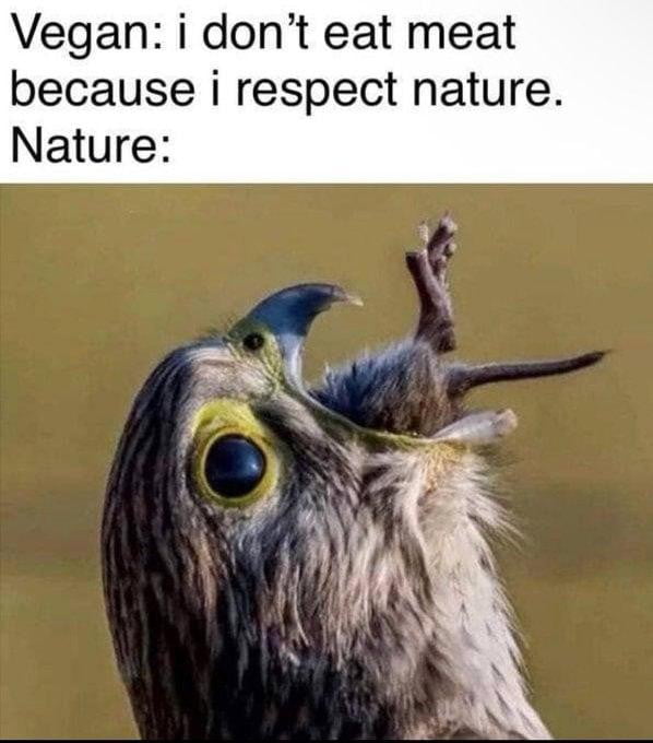 A humorous take on the nature of the food chain - Memes on Aviaclip