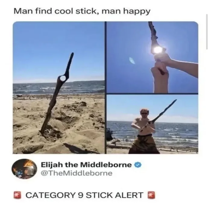 The Ultimate Find: A Man Discovers a Remarkably Sword-Shaped Stick - Funny on Aviaclip