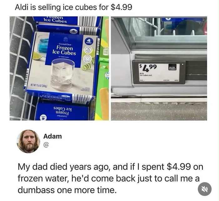 Social Media User Reacts to Premium Crystal Clear Ice Cubes Sold at Aldi