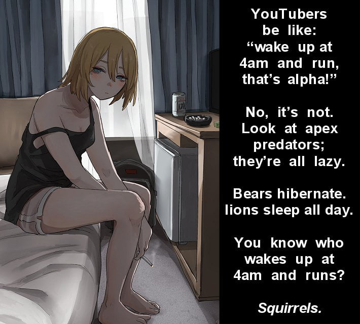 A Humorous Take on the 'Alpha' Morning Routine Trend - Memes on Aviaclip