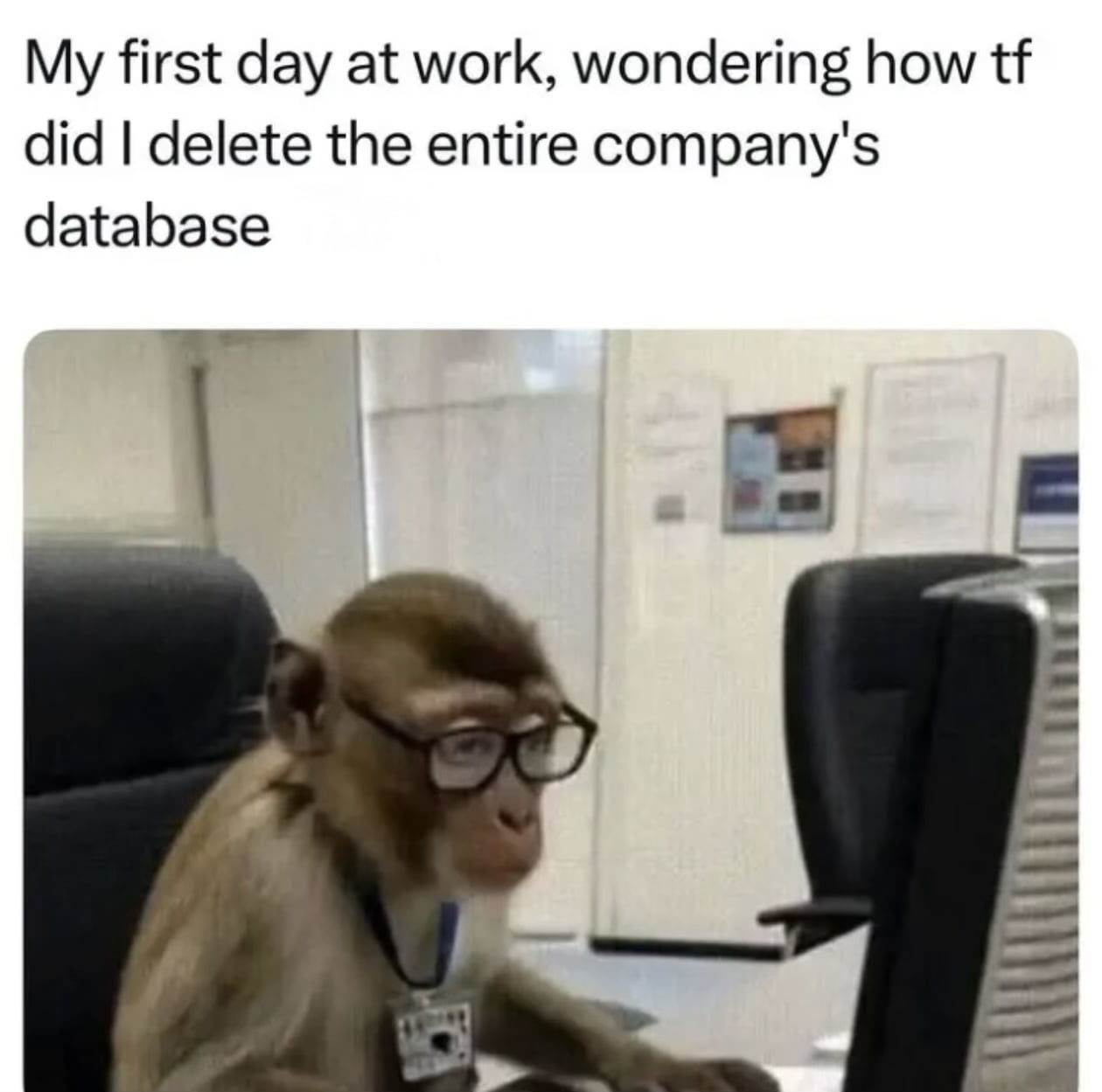 The First Day at Work Panic: When You Accidentally Delete the Company Database - Memes on Aviaclip
