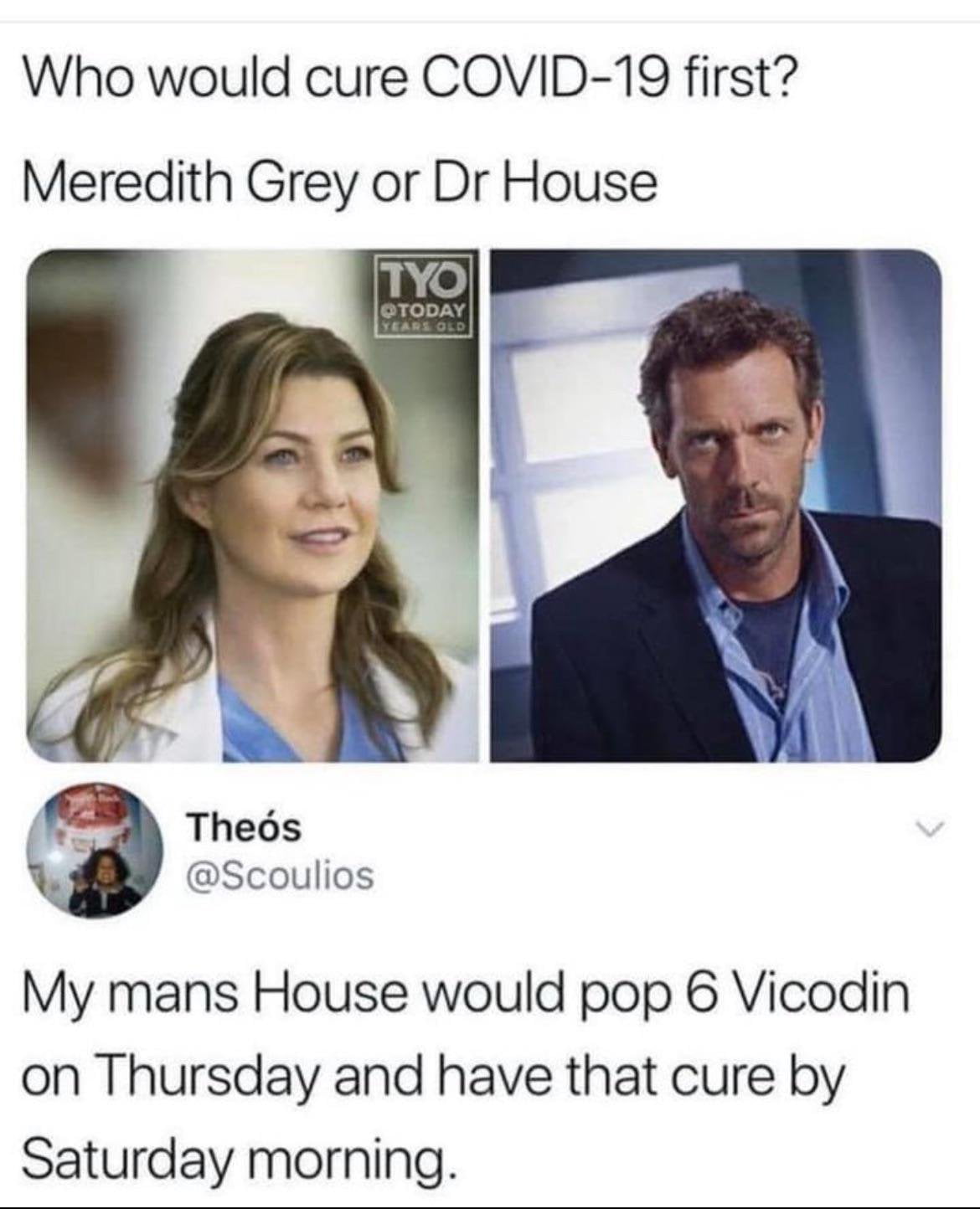 Meredith Grey vs. Dr. House: Who Would Solve the Pandemic First? - Memes on Aviaclip