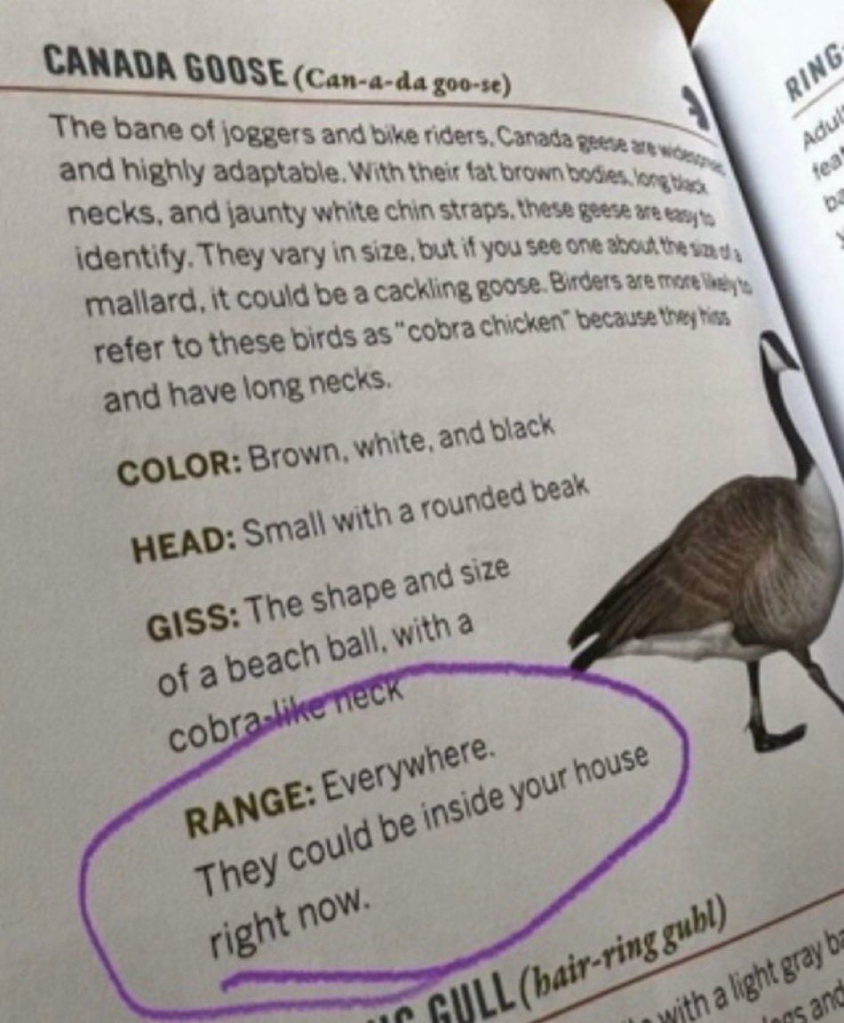 A Humorous Field Guide Entry for the 'Cobra Chicken' - Funny on Aviaclip
