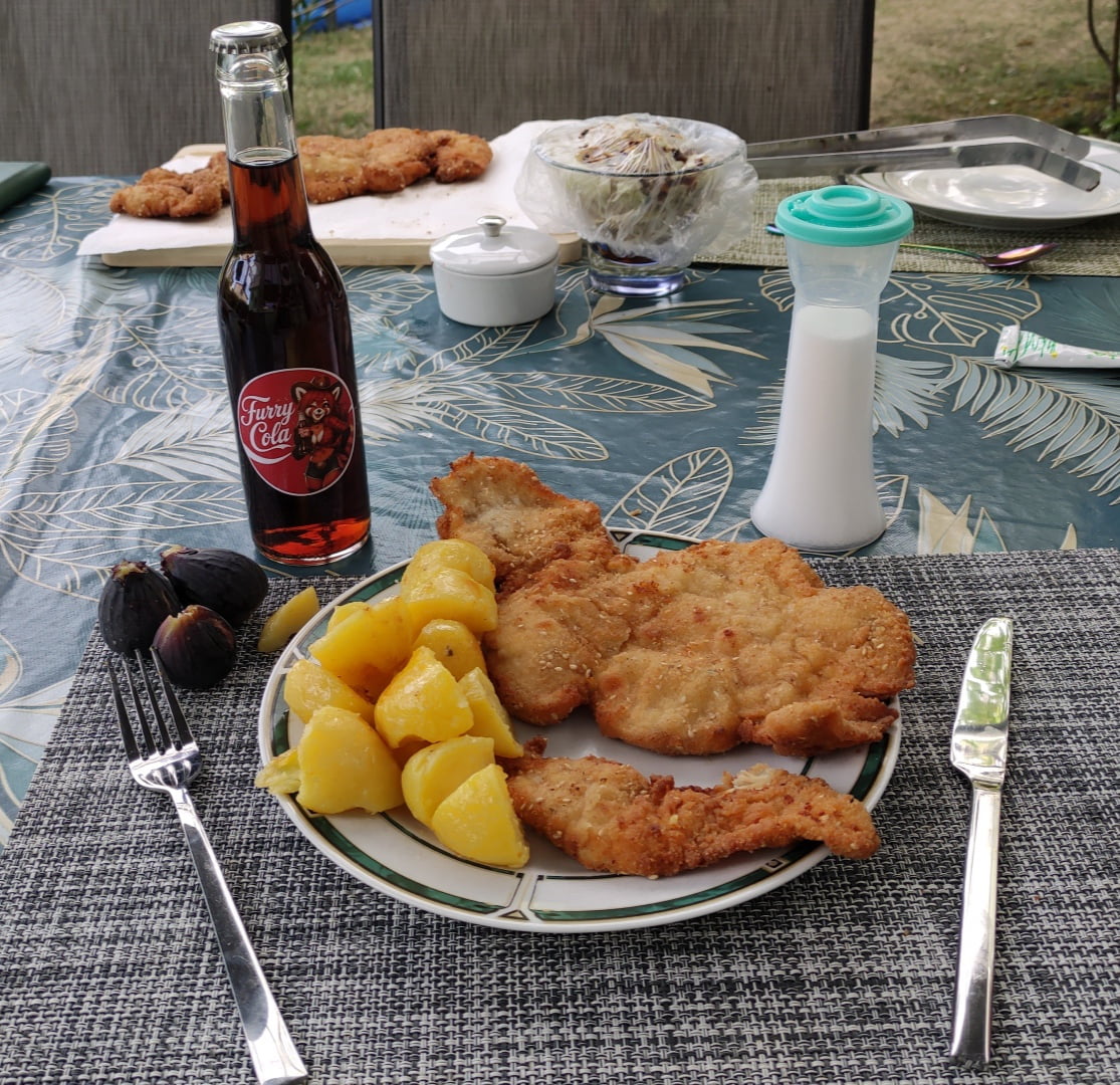 A Homemade Schnitzel Meal Accompanied by Unusual Soda - Interesting on Aviaclip