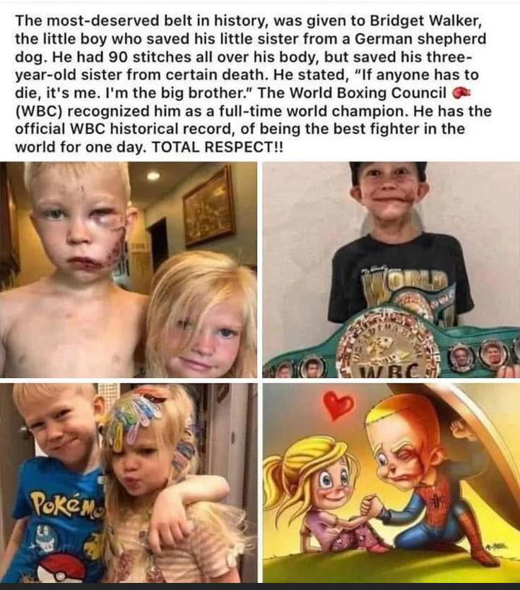 Young Hero Honored by World Boxing Council After Saving Sister from Dog Attack