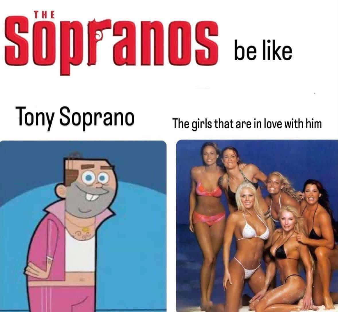 The Sopranos: A Humorous Take on Tony's Romantic Life - Memes on Aviaclip