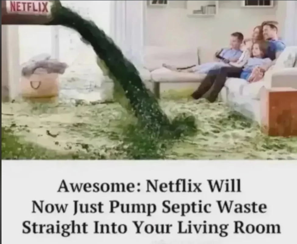 A Satirical Take on Netflix Content Quality - Memes on Aviaclip