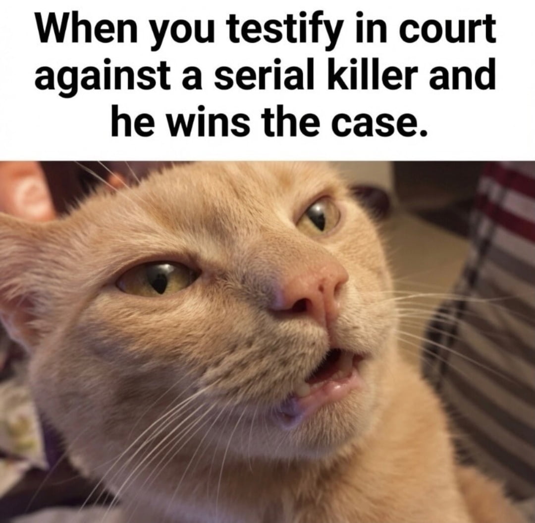 The Look of Regret After a Failed Courtroom Testimony
