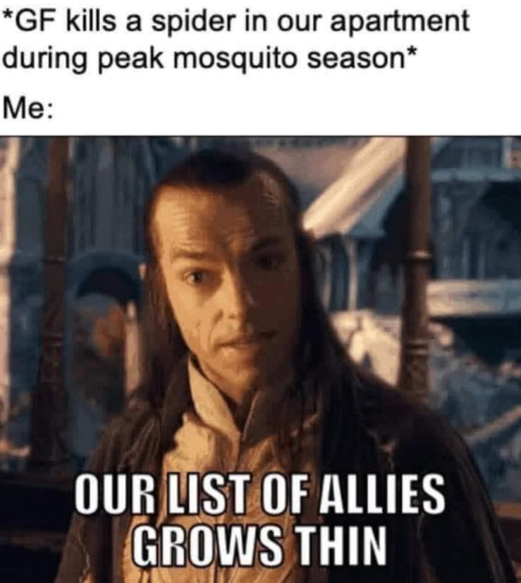 When Your Partner Kills the Only Security Guard in the House - Memes on Aviaclip