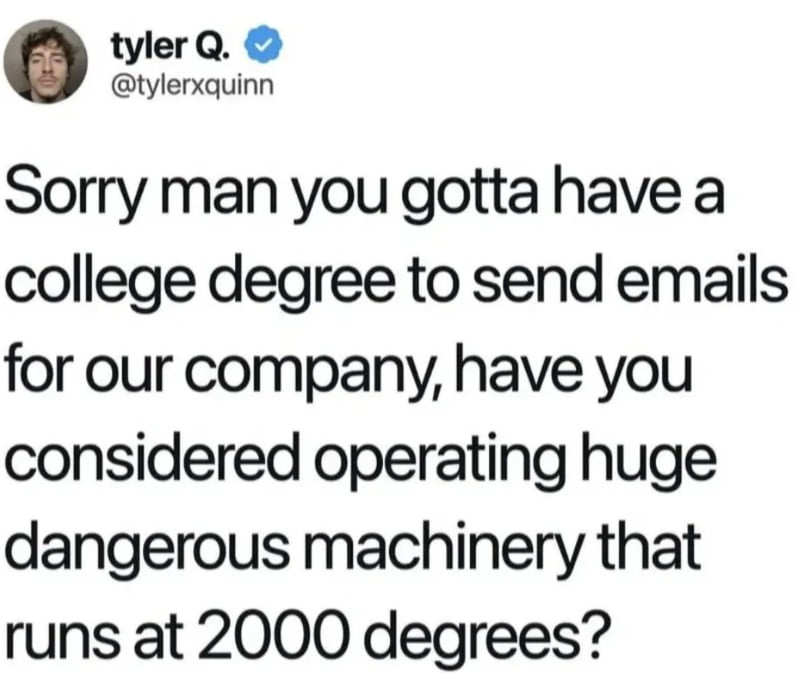 A Satirical Take on Modern Job Requirements and Corporate Qualifications - Memes on Aviaclip