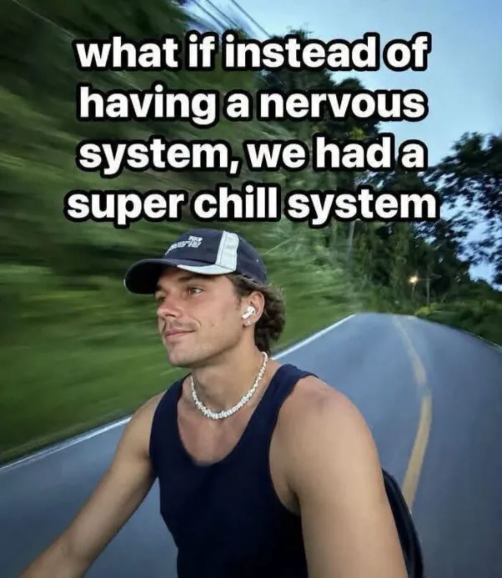 A Humorous Take on Replacing the Nervous System with a 'Super Chill' Alternative - Memes on Aviaclip