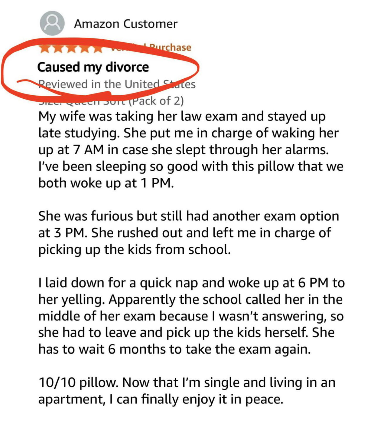 Amazon Reviewer Claims Their New Pillow Caused a Divorce - Funny on Aviaclip