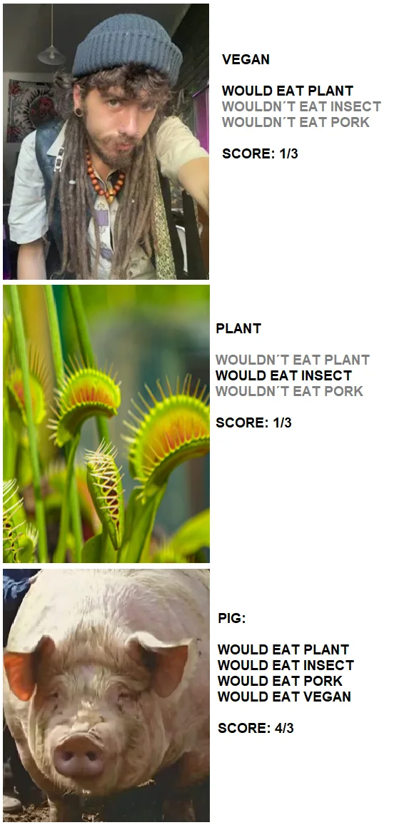 A Humorous Comparison of Dietary Habits: Vegan vs. Plant vs. Pig