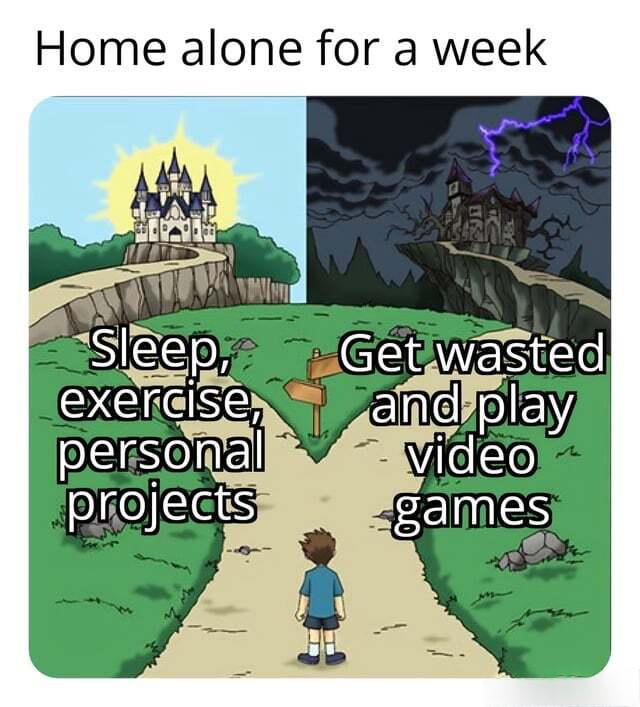 The Two Paths of Having the House to Yourself - Memes on Aviaclip