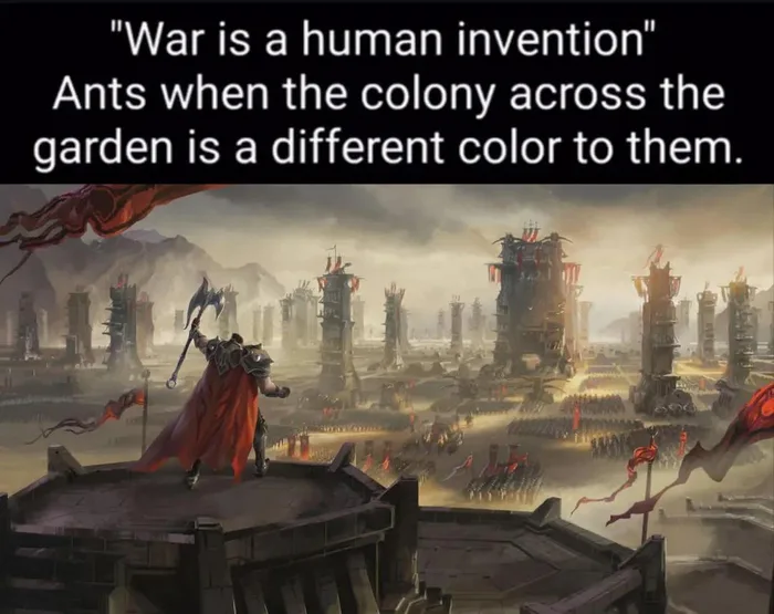 The Brutal Reality of Ant Colony Warfare