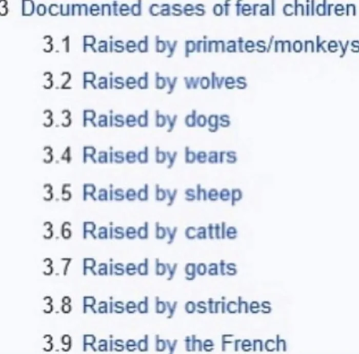 A Humorous Addition to a List of Feral Children - Funny on Aviaclip