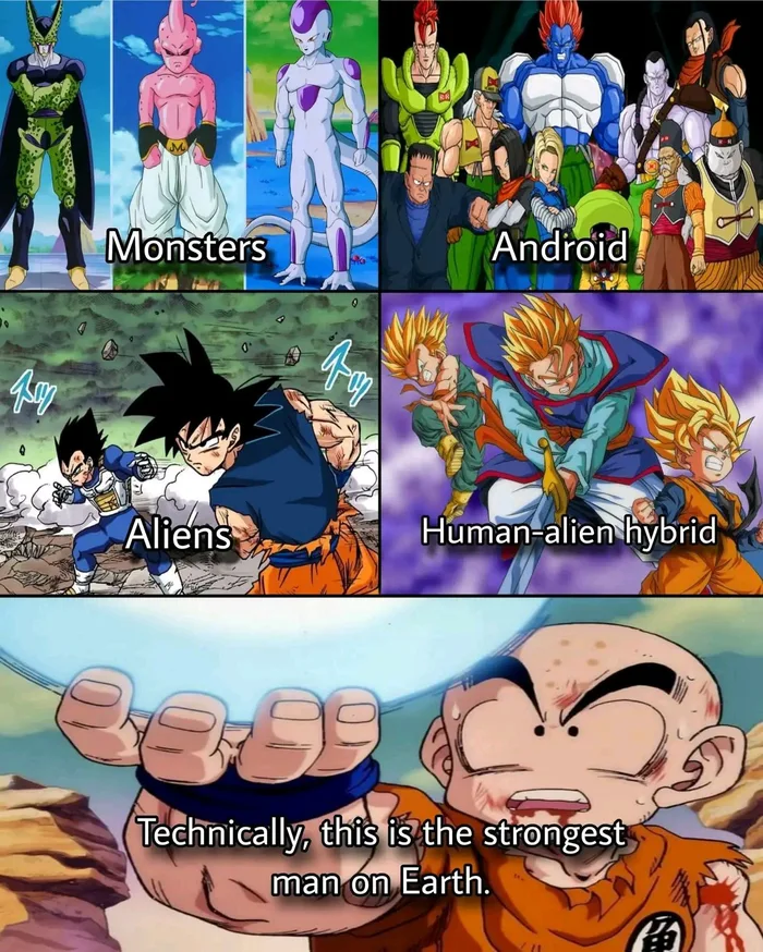 A Breakdown of Dragon Ball Character Classifications