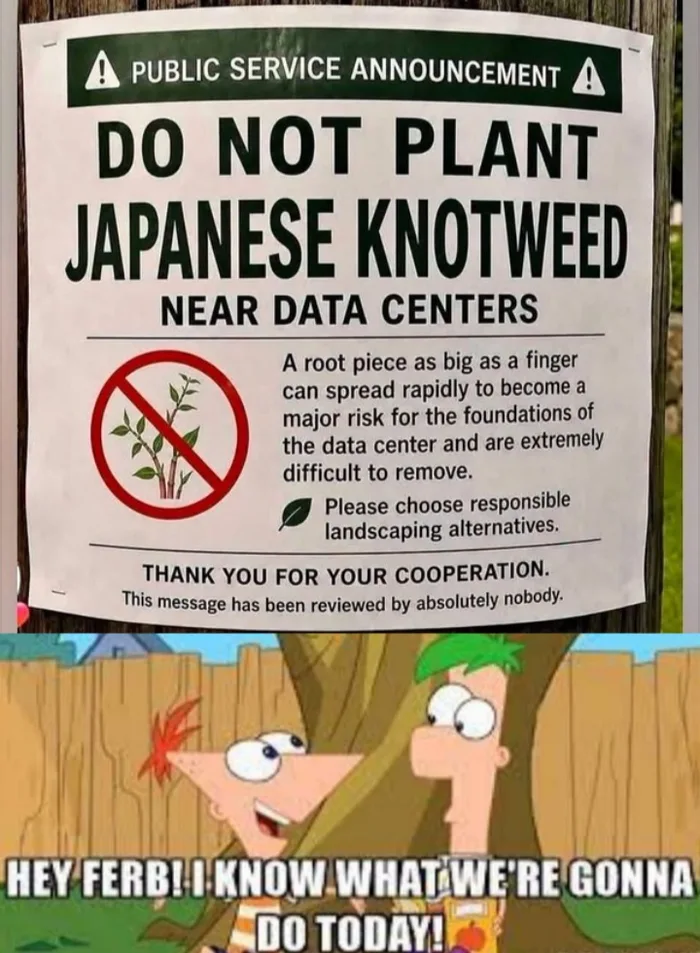 A Warning Against Planting Japanese Knotweed Near Data Centers - Memes on Aviaclip
