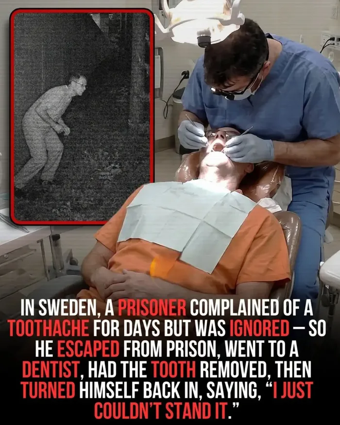 Prisoner Escapes Custody to Address Severe Toothache