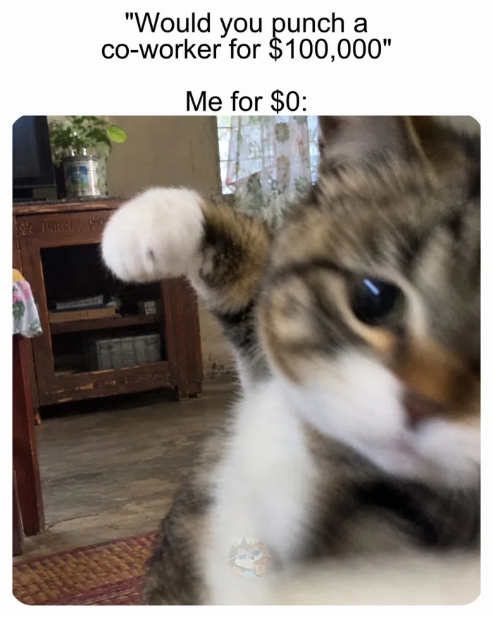 A Cat's Take on Workplace Frustrations
