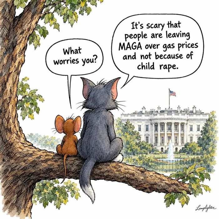 Political Cartoon Commentary on Voter Priorities