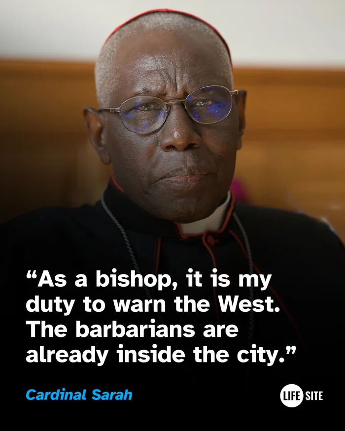 Cardinal Sarah's Warning to the West - Interesting on Aviaclip