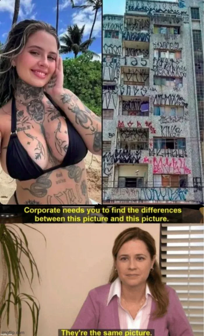 A Meme Comparing Heavily Tattooed Skin to Graffiti-Covered Architecture
