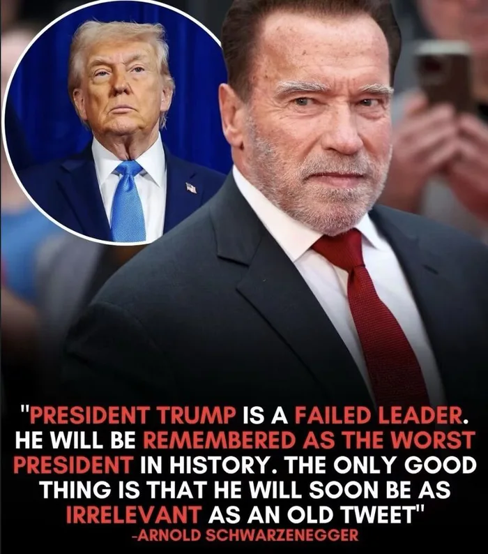 Arnold Schwarzenegger's Critical Assessment of Donald Trump's Presidency