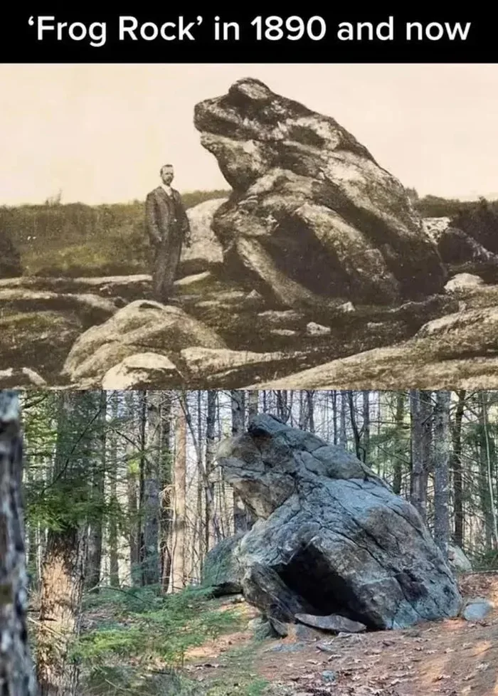 A Comparison of 'Frog Rock' Over Time