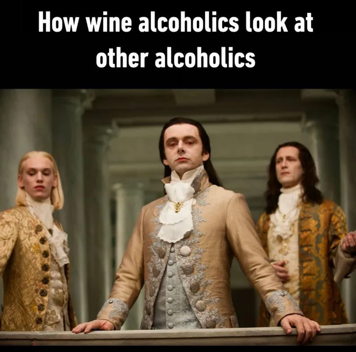 The Superiority Complex of Wine Drinkers - Memes on Aviaclip