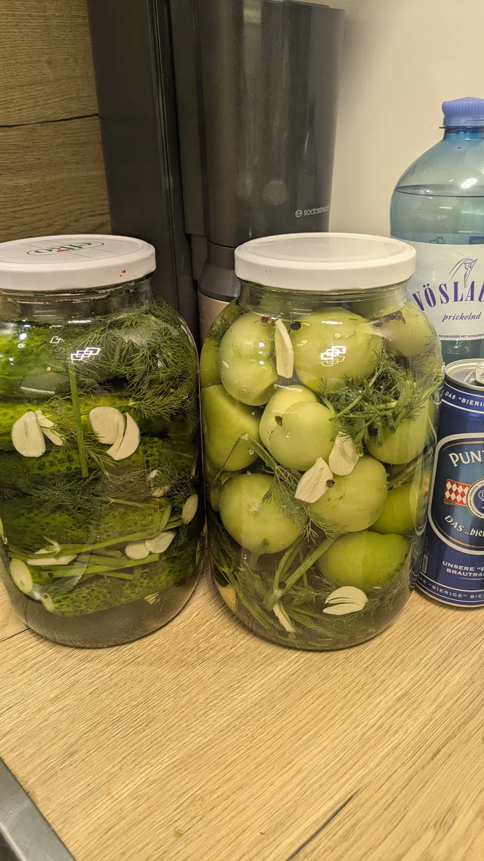 A Homemade Batch of Fermented Pickles and Green Tomatoes - Interesting on Aviaclip