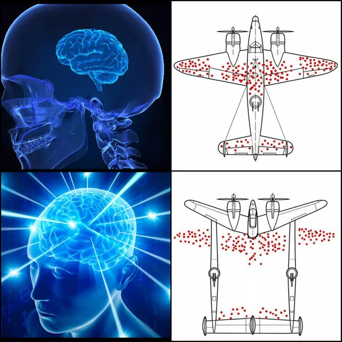 The Survivorship Bias Meme Explained - Memes on Aviaclip