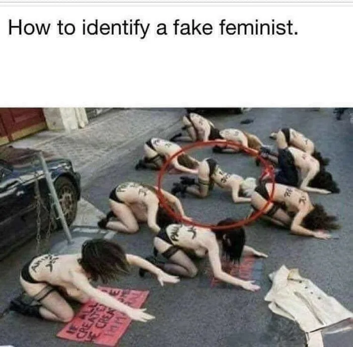 A Satirical Take on Feminist Activism - Memes on Aviaclip