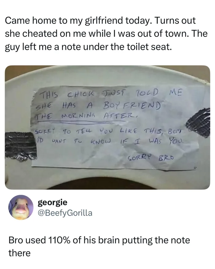 A Brutal Discovery: The Note Left Under the Toilet Seat - Funny on Aviaclip