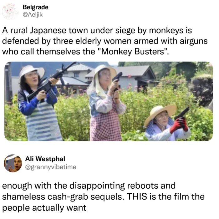 Meet the 'Monkey Busters': The Trio Defending Their Japanese Town