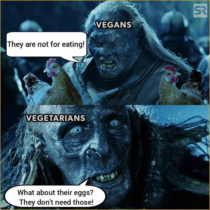 A Lord of the Rings Meme Comparing Vegan and Vegetarian Dietary Choices