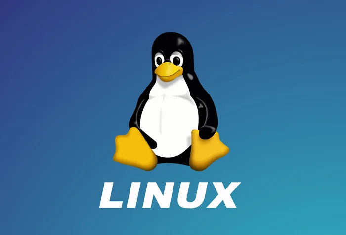 A Discussion on Preferred Linux Distributions for Tech Enthusiasts - Technology on Aviaclip