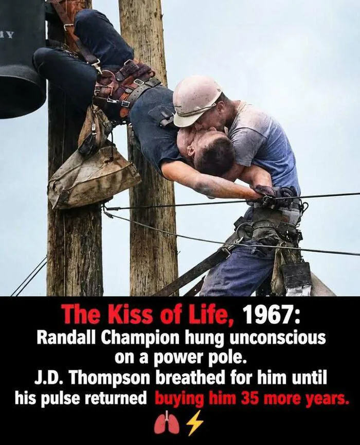 The 1967 Kiss of Life: A Remarkable Rescue on a Power Pole
