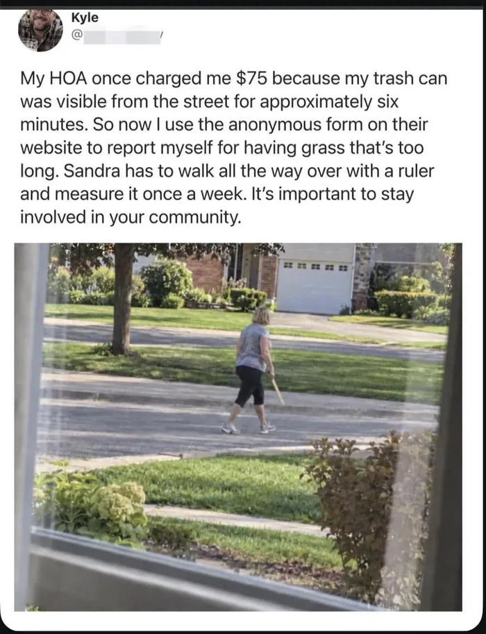 Homeowner Executes Petty Revenge Against HOA by Weaponizing Their Own Rules - Funny on Aviaclip