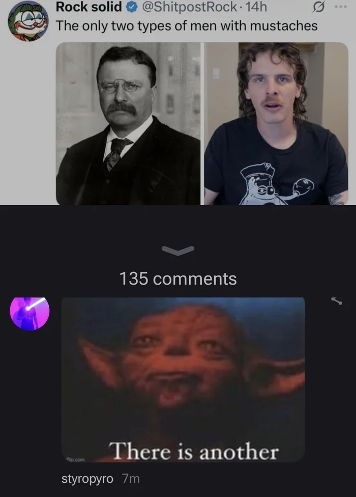 A Humorous Take on the Two Types of Men With Mustaches - Memes on Aviaclip
