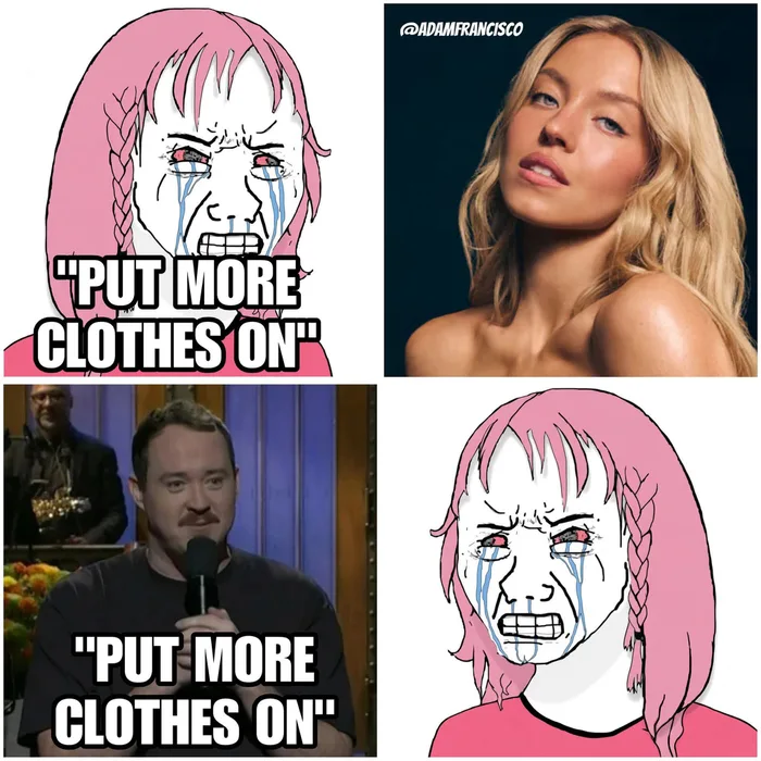 A Meme Comparing Reactions to Public Figures and Clothing Choices