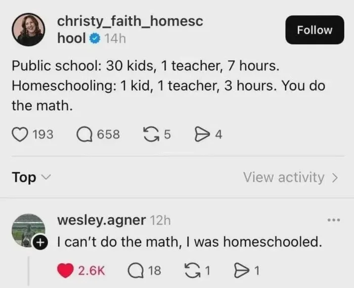 A Homeschooling Comparison Takes an Unexpected Turn