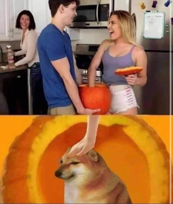 A Pumpkin Prank Featuring a Surprise Inside - Memes on Aviaclip