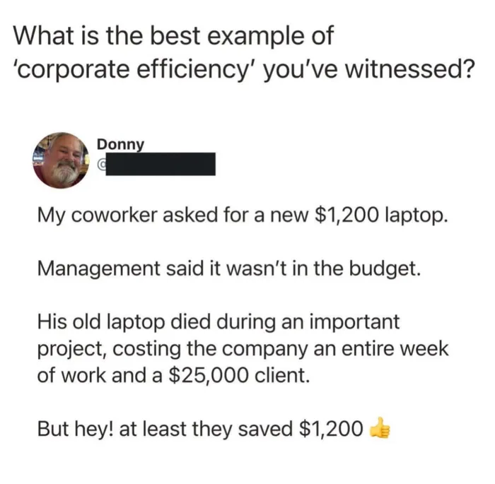 A Lesson in Corporate Efficiency: When Saving $1,200 Costs $25,000 - Funny on Aviaclip