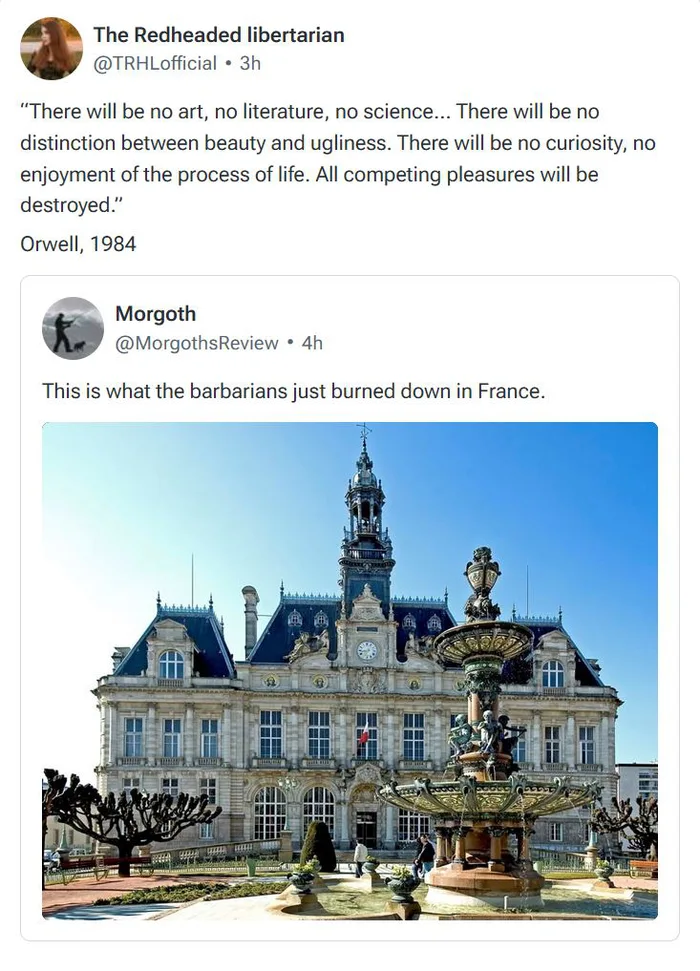 Social Media Commentary on Civil Unrest and Property Damage in France - Interesting on Aviaclip