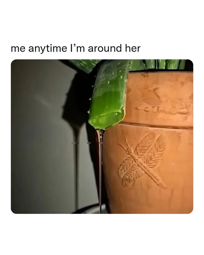 A Literal Interpretation of Melting Away - Memes on Aviaclip