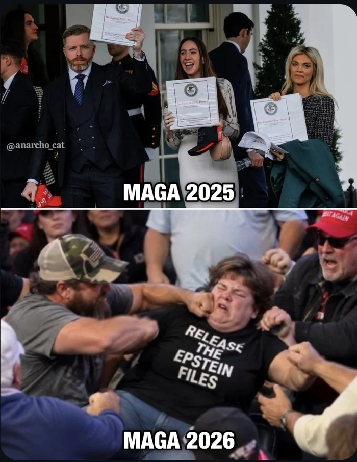 Comparing Contrasting Depictions of Political Protests - Memes on Aviaclip