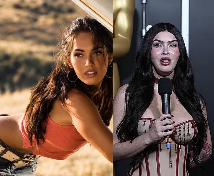 A Side-by-Side Comparison of Megan Fox's Evolving Public Appearance - WTF on Aviaclip
